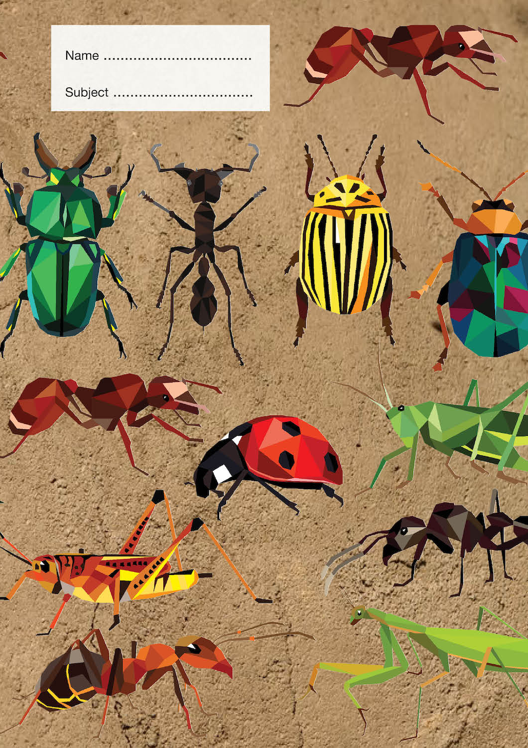 Insects School Book Cover