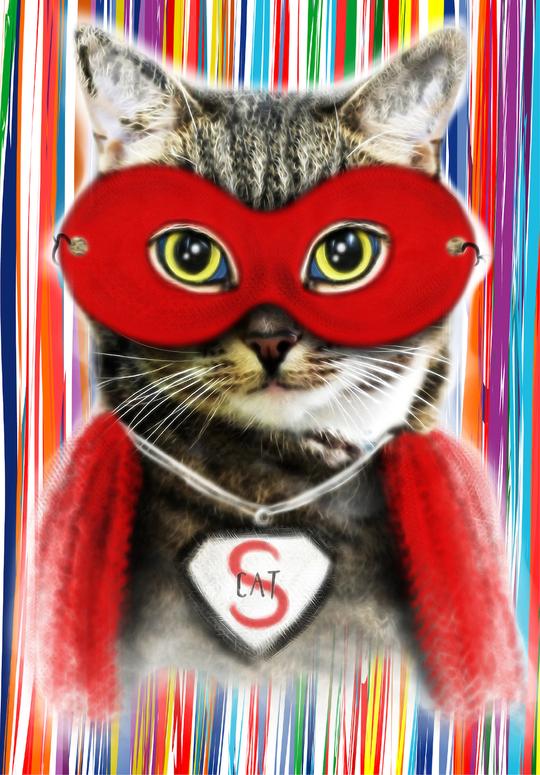 Super Cat School Book Cover