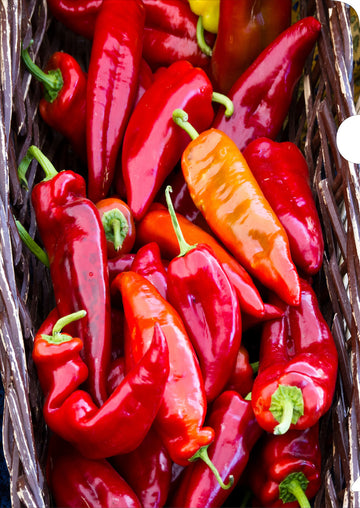 Red Chillis Document Cover