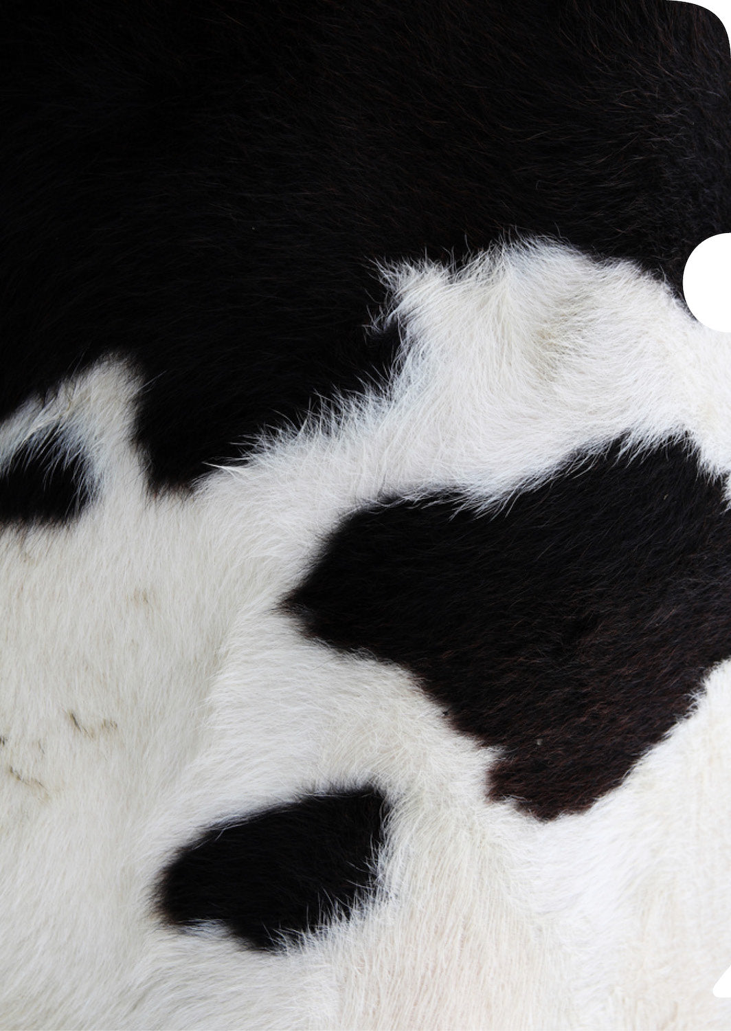 Cowhide Document Cover