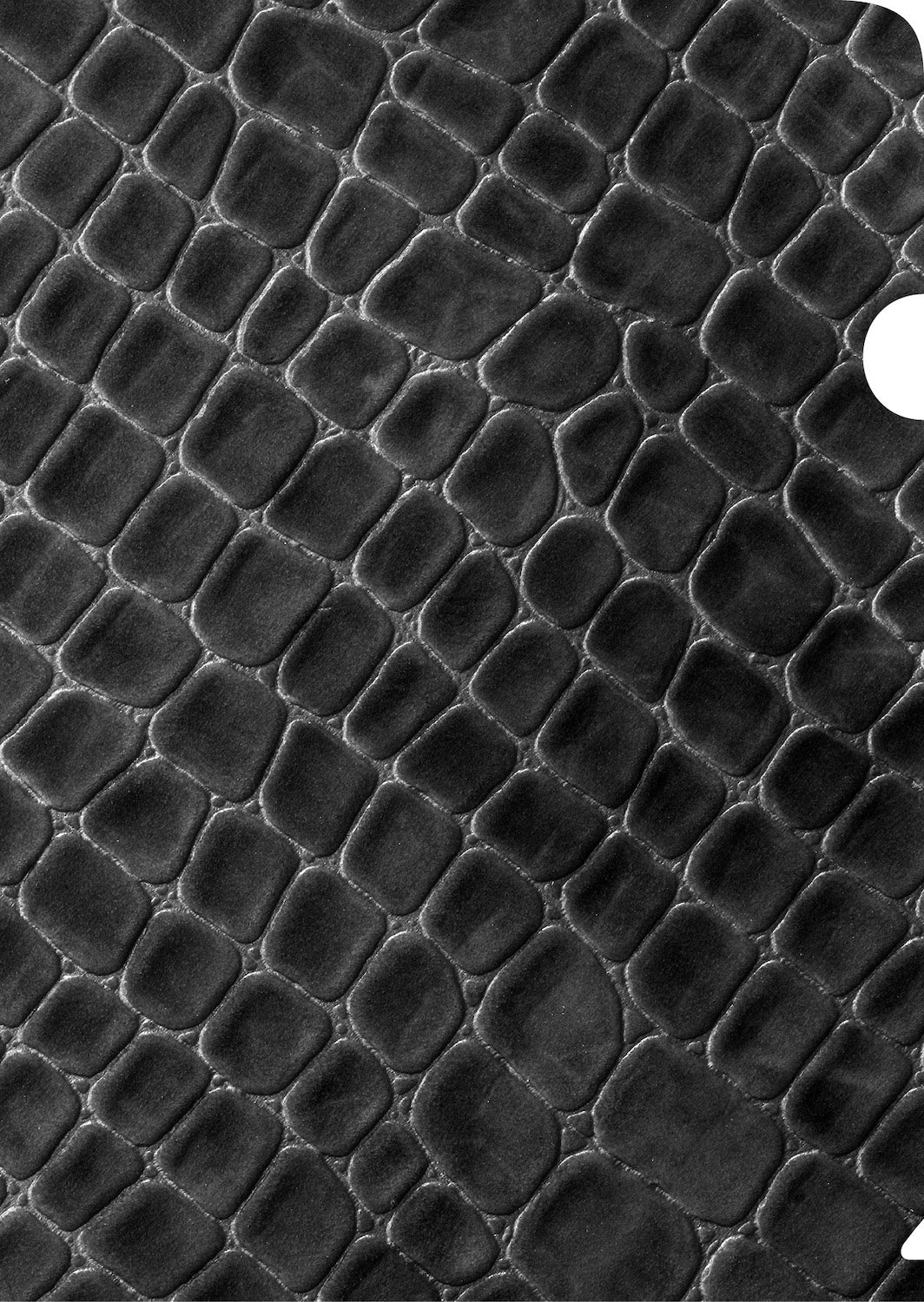 Black Croc Document Cover