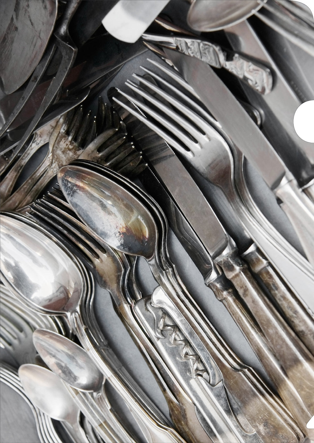 Silver Cutlery Document Cover