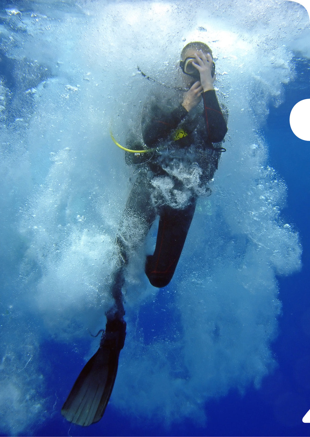 Diver Document Cover