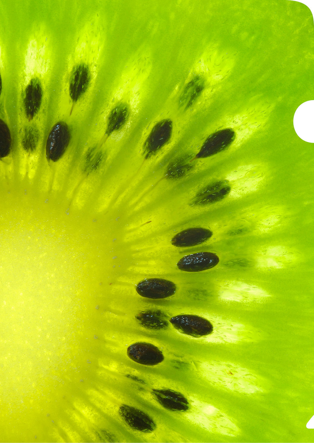 Kiwifruit Document Cover