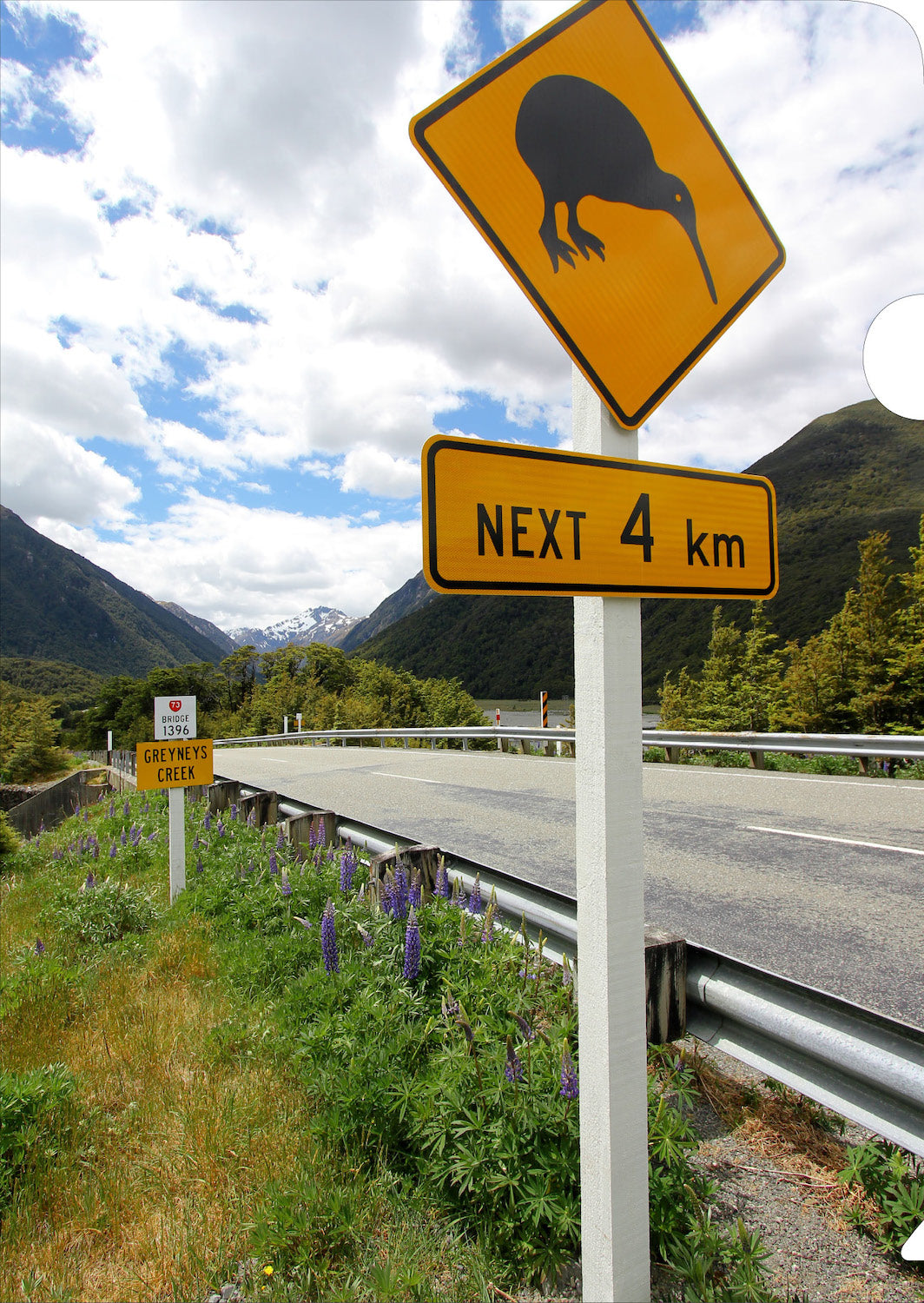 Kiwi Roadsign Document Cover