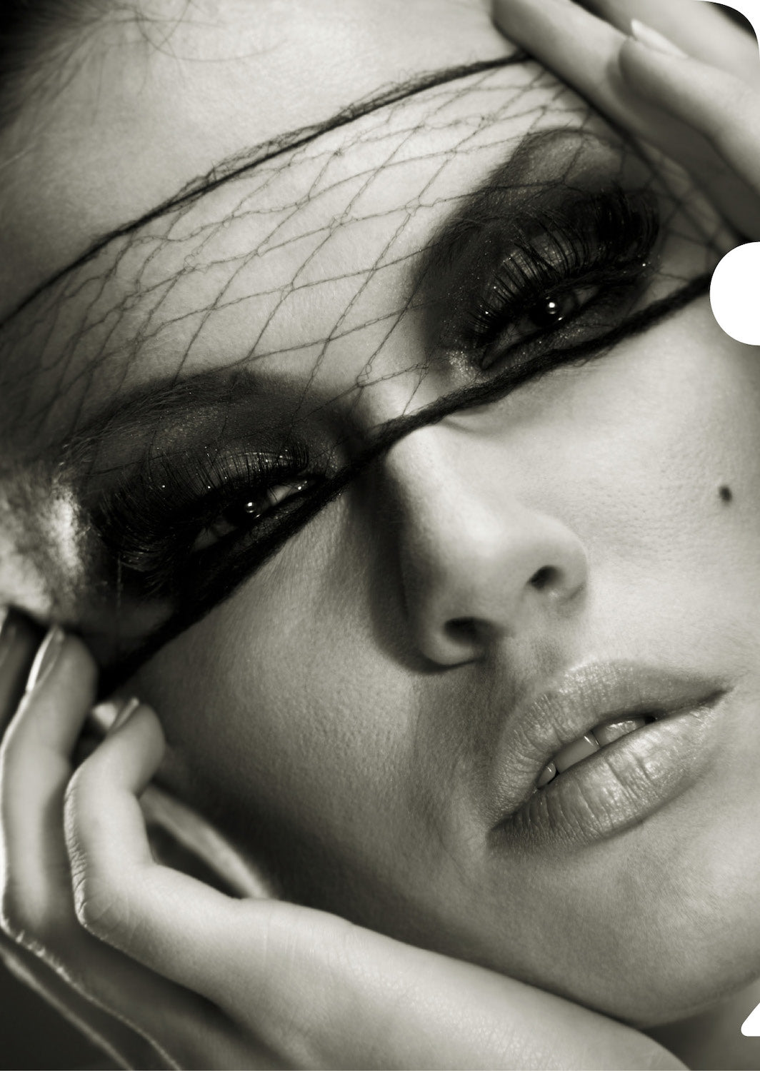 Net Mask Document Cover