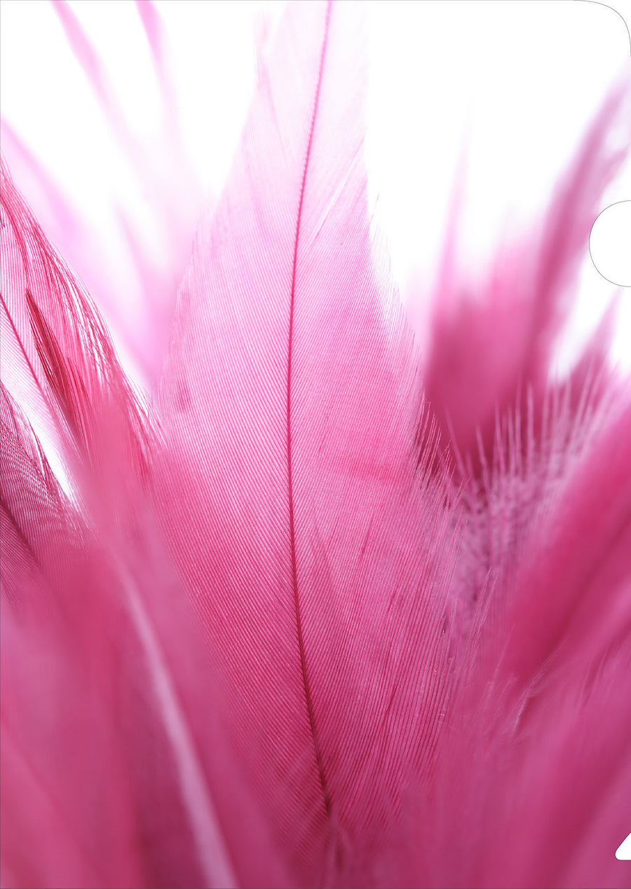 Pink Feathers Document Cover
