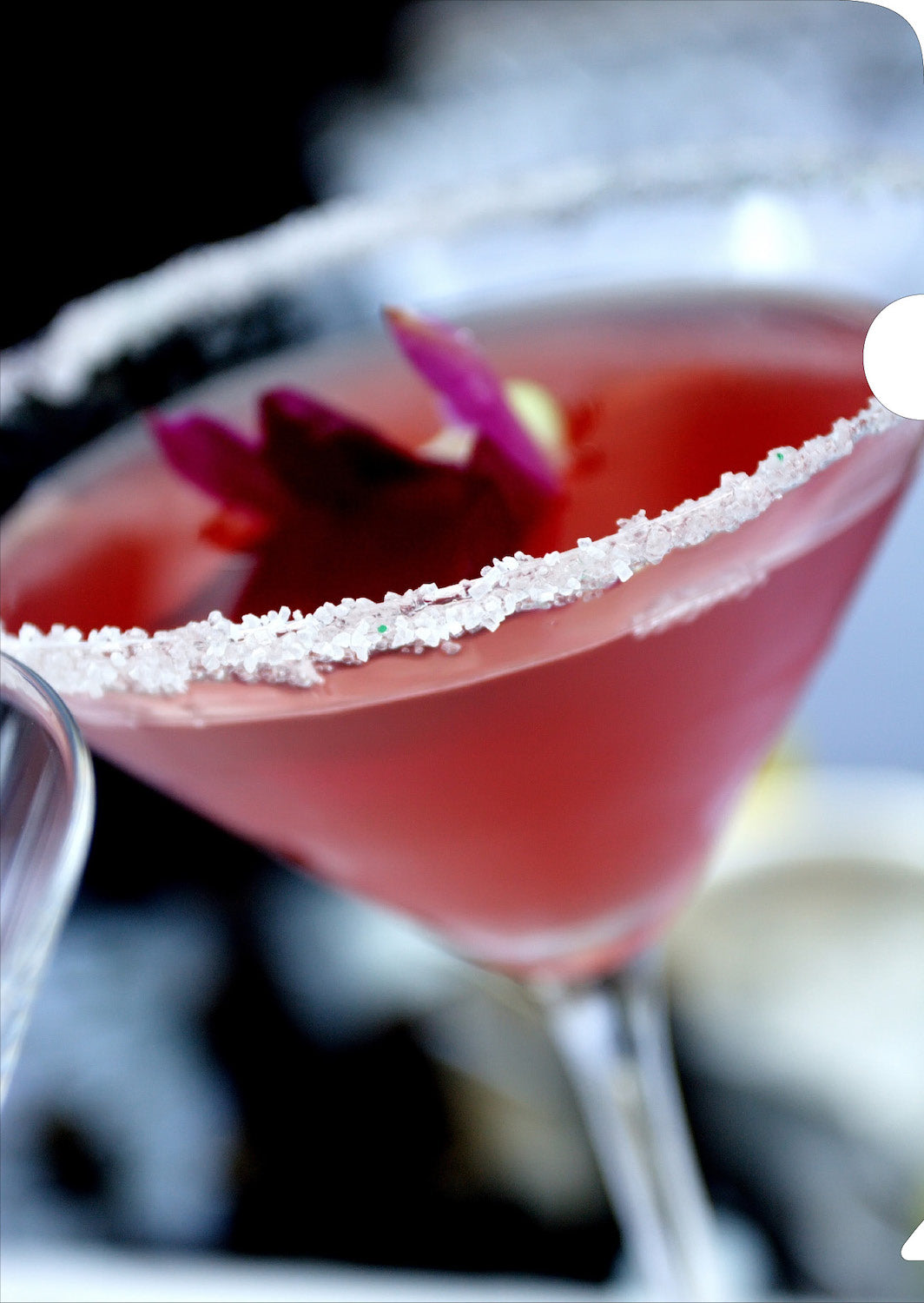 Pink Martini Document Cover