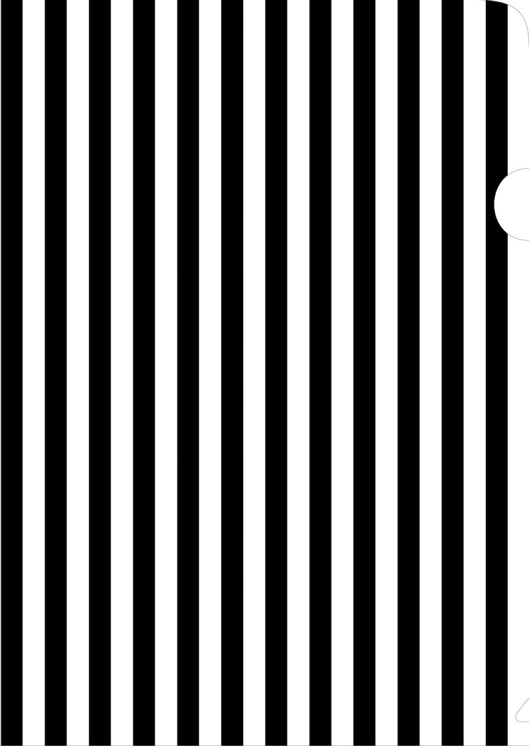 Black & White Stripes Document Cover