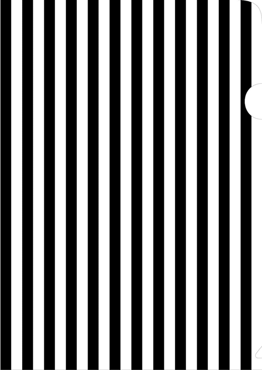 Black & White Striped Document Cover