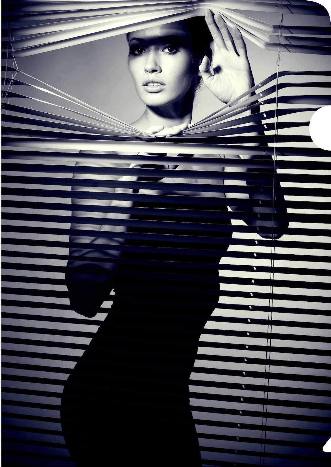 Venetian Blinds Document Cover