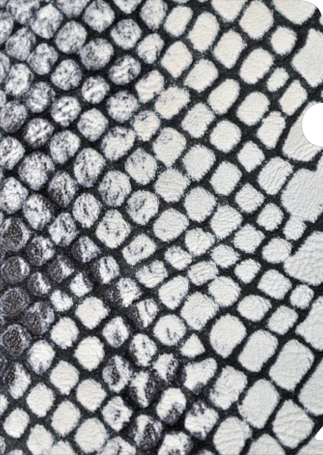 White Leather Skin Document Cover