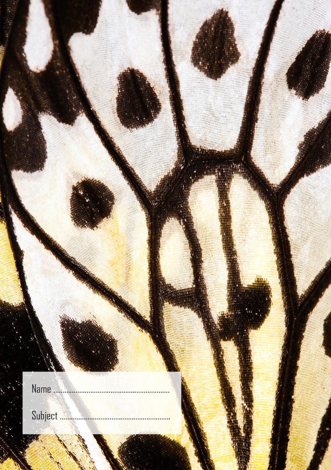 Butterfly Wing Exercise Book Cover