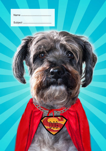 Super Dog School Book Cover