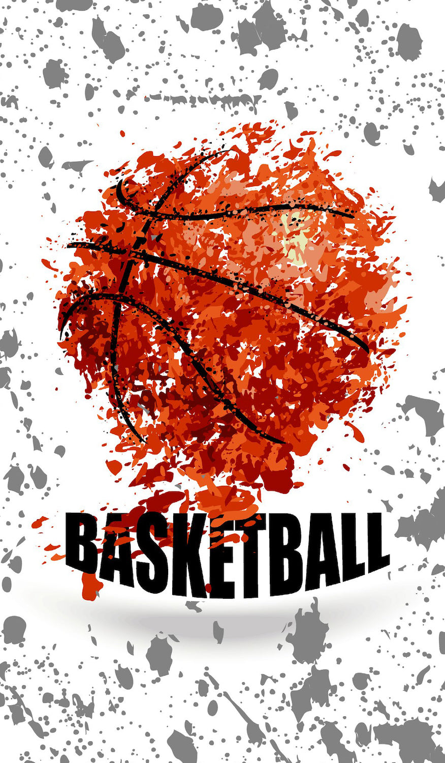Basketball School Book Cover
