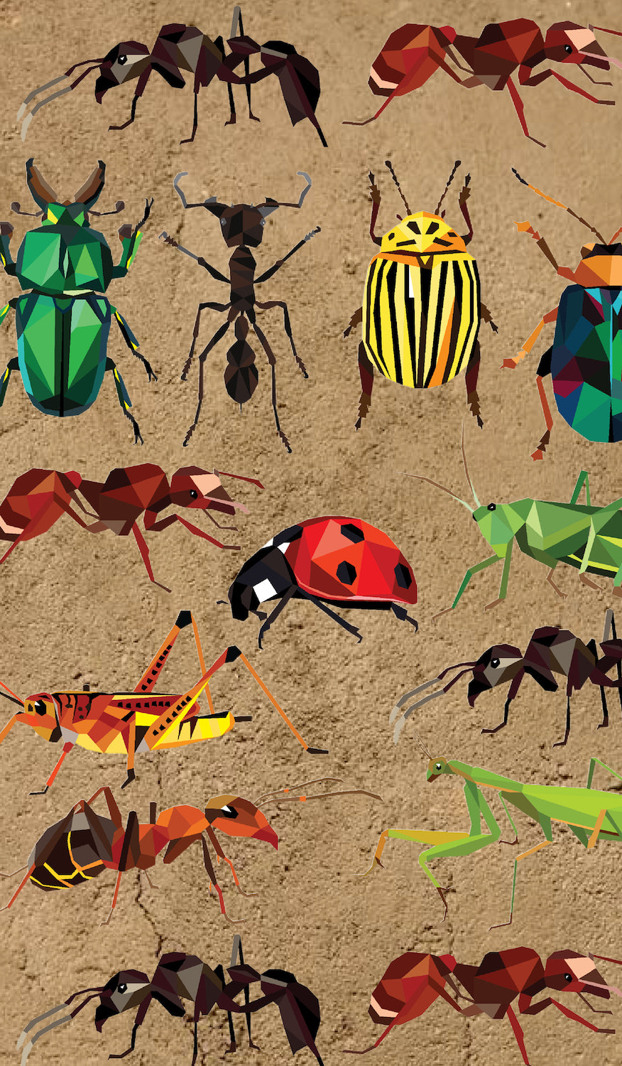 Insects School Book Cover