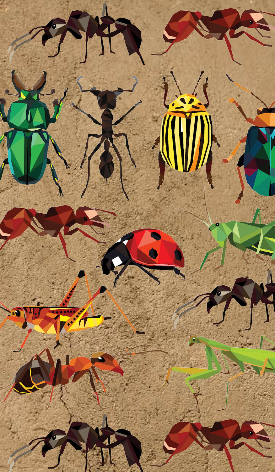 Insects School Book Cover – Love These Covers