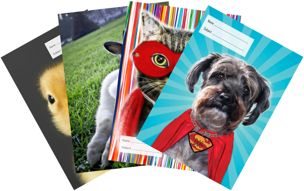 Lil Quacker + Cotton Top + Super Cat + Super Dog